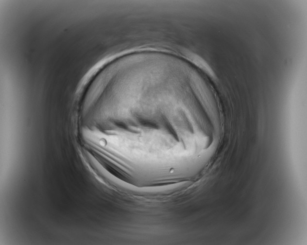 X0000083971504200703091751