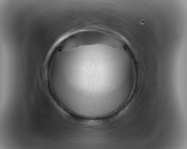 X0000083971506200703091751