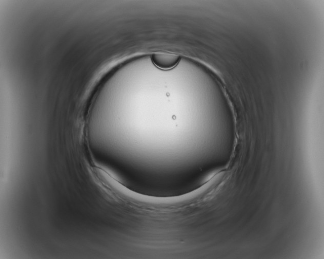 X0000083971507200703091751