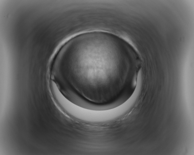 X0000083971508200703091751