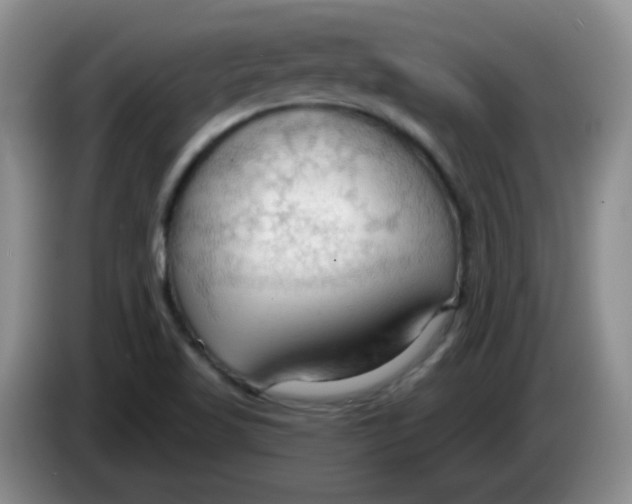 X0000083971509200703091751