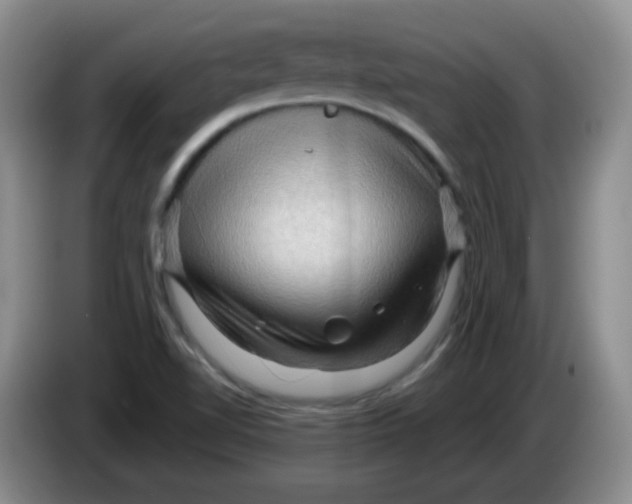 X0000083971510200703091751