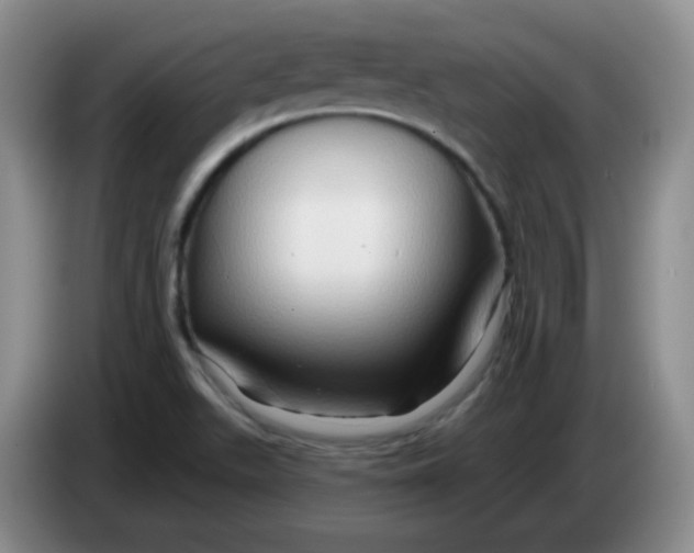 X0000083971511200703091751