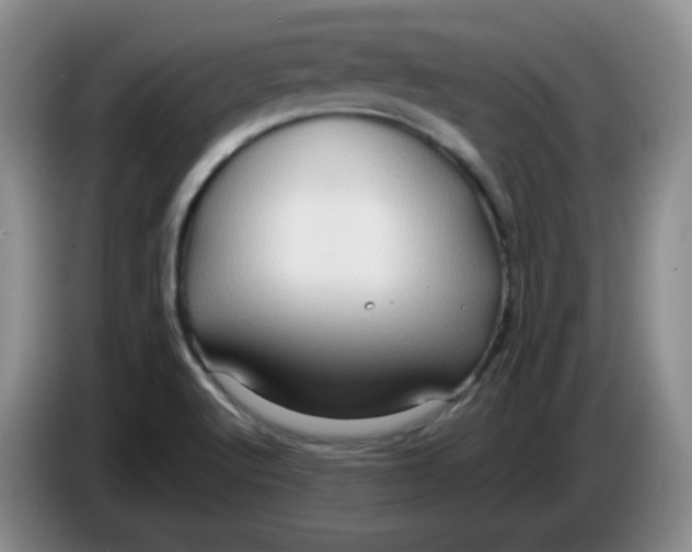 X0000083971512200703091751