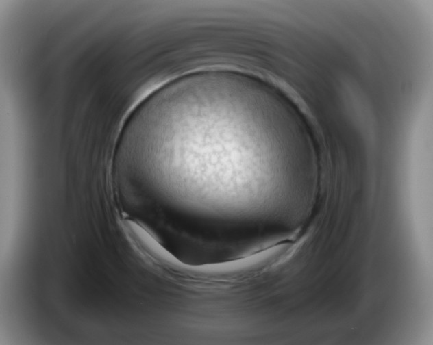 X0000083971513200703091751