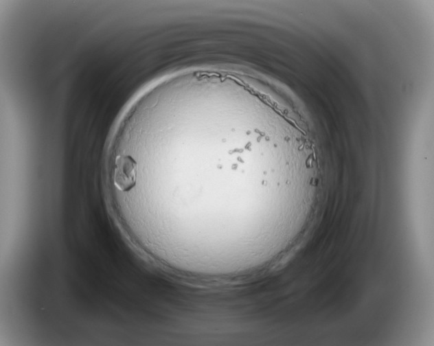 X0000083971514200703091751