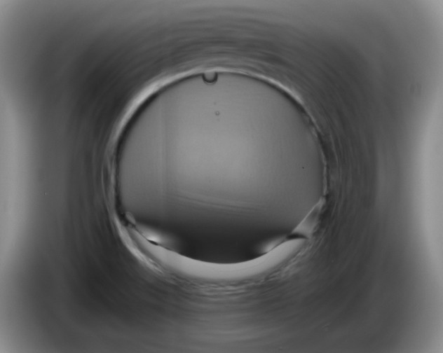 X0000083971515200703091751