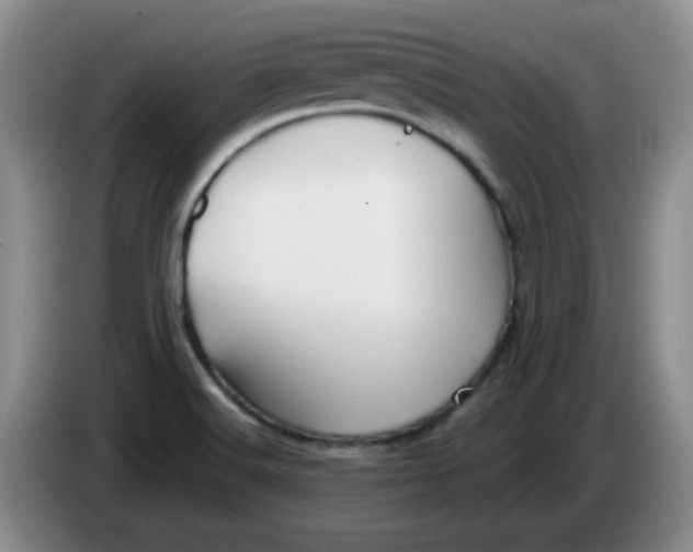 X0000083971516200703091751