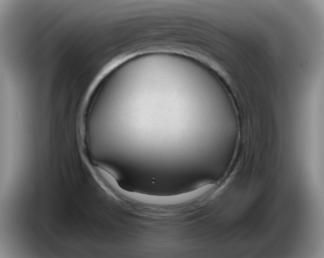 X0000083971517200703091751