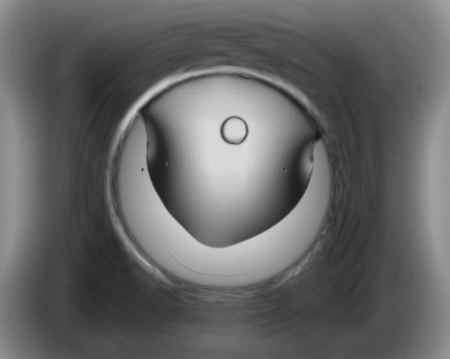 X0000083971518200703091751