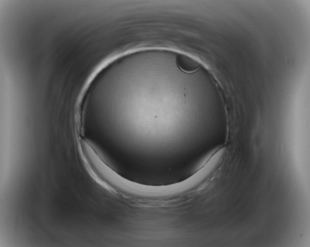 X0000083971519200703091751
