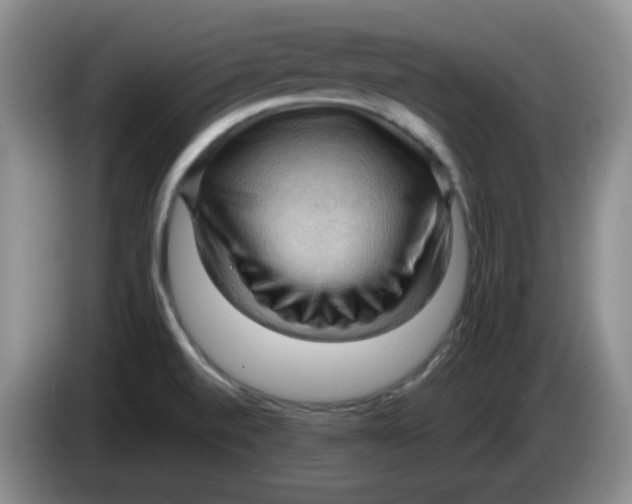 X0000083971520200703091751