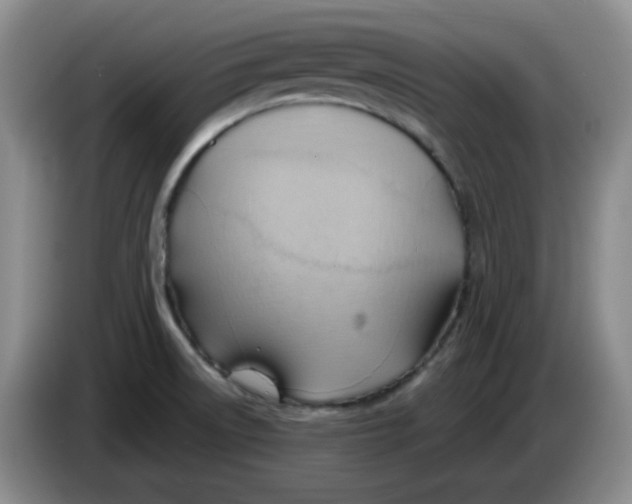 X0000083971522200703091751