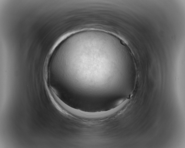 X0000083971523200703091751