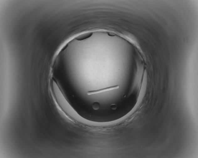 X0000083971524200703091751