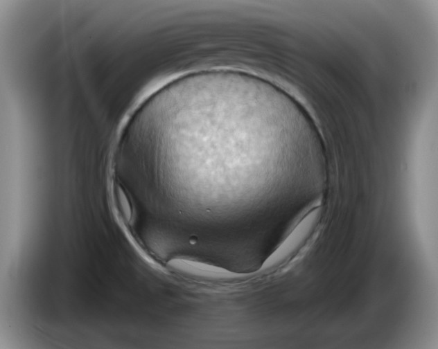 X0000083971525200703091751