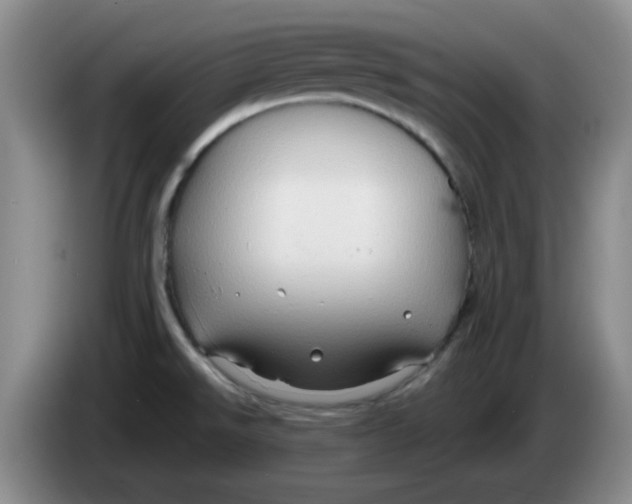 X0000083971526200703091751