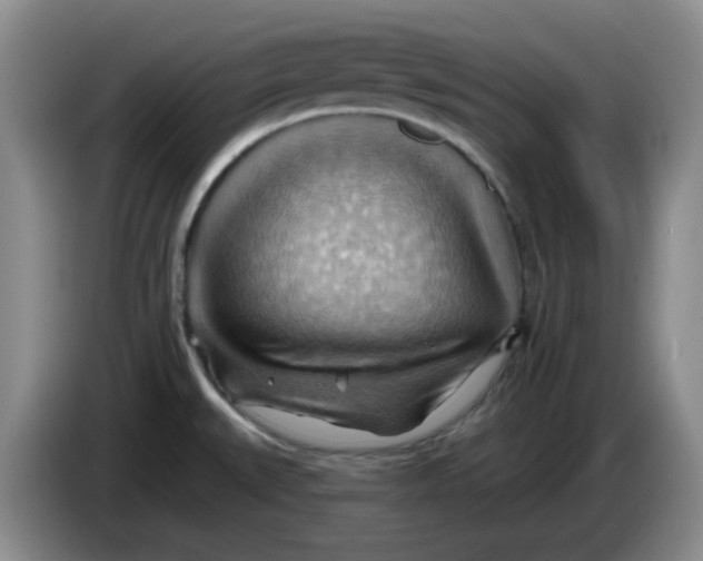 X0000083971527200703091751