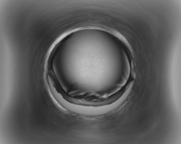 X0000083971528200703091751