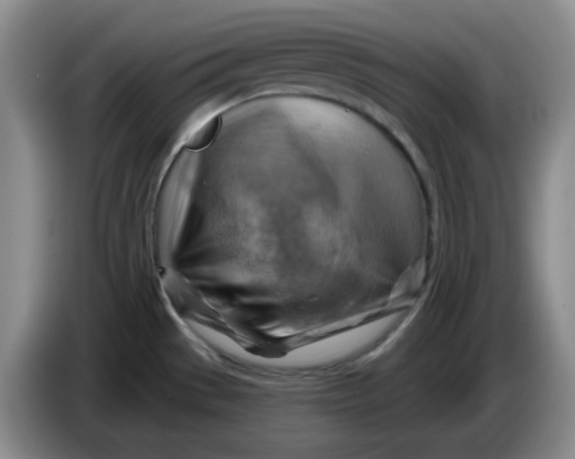 X0000083971529200703091751