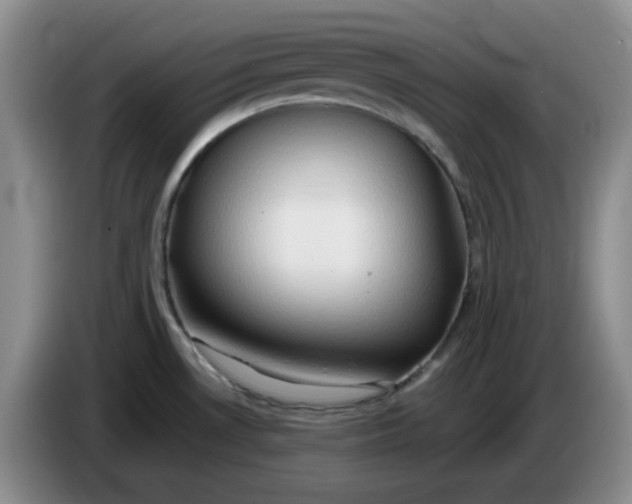 X0000083971530200703091751