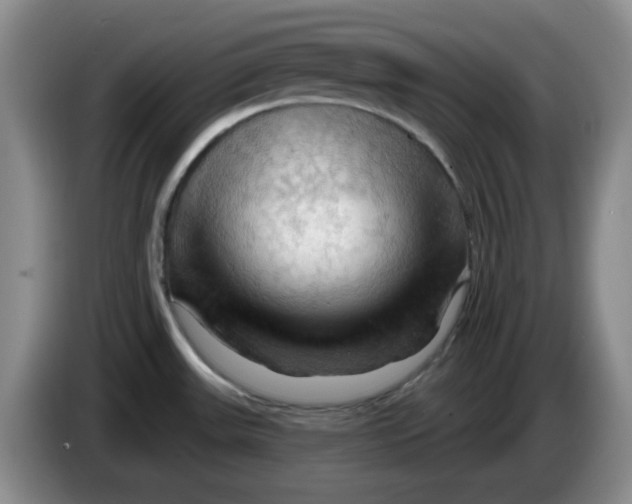 X0000083971531200703091751