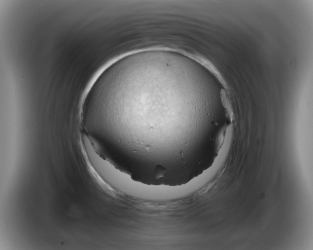 X0000083971532200703091751