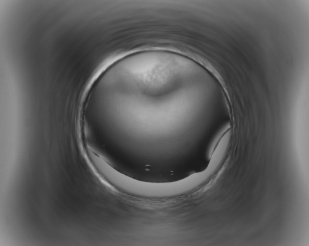X0000083971533200703091751