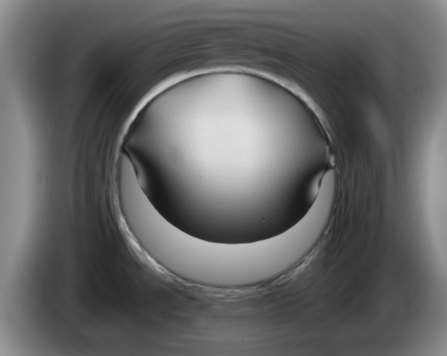 X0000083971534200703091751