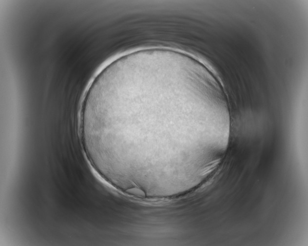 X0000083971535200703091751