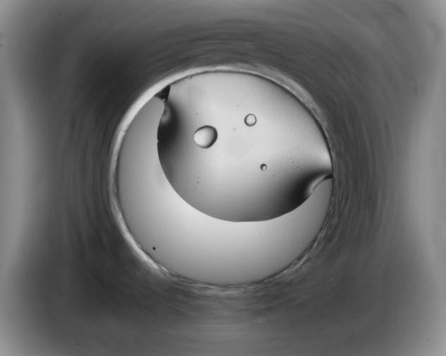 X0000083971536200703091751