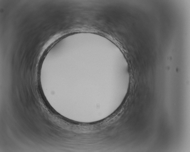 X0000083970008200703161543
