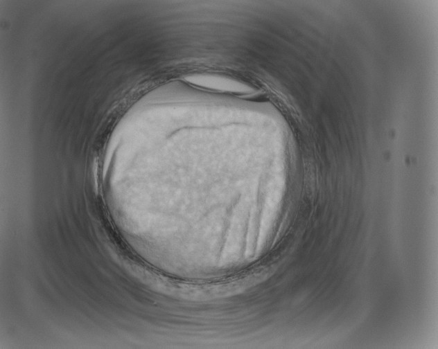 X0000083970022200703161543