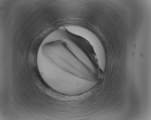 X0000083970031200703161543