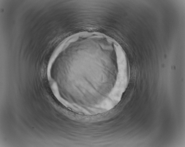 X0000083970043200703161543