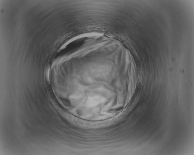 X0000083970047200703161542
