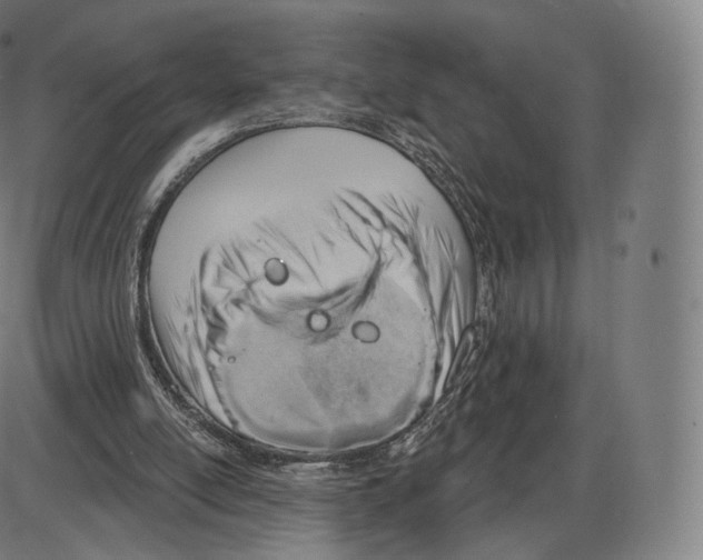 X0000083970054200703161542