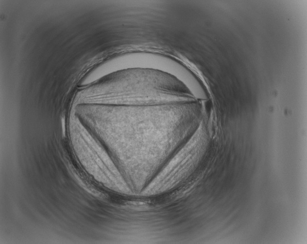 X0000083970061200703161542