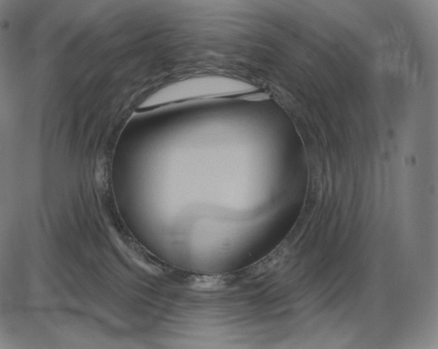 X0000083970088200703161542