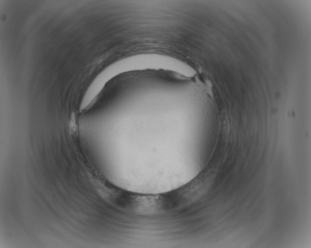 X0000083970089200703161542