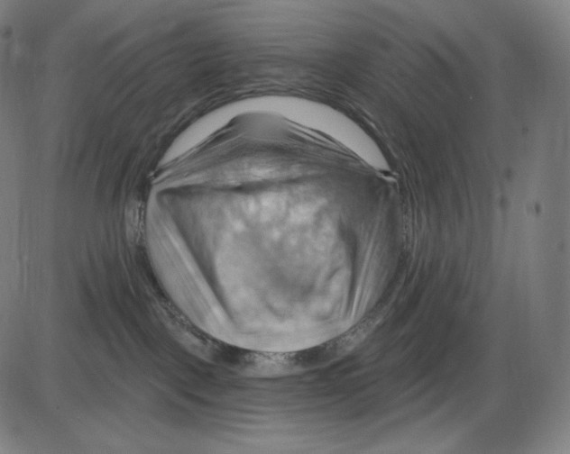 X0000083970093200703161542