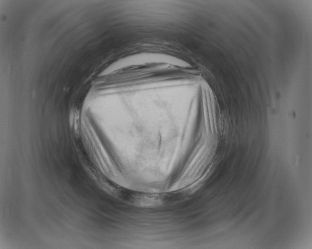 X0000083970094200703161542