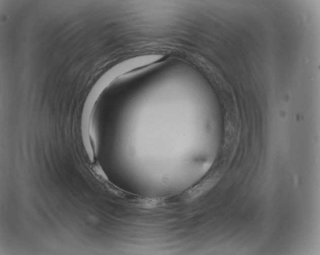 X0000083970096200703161542