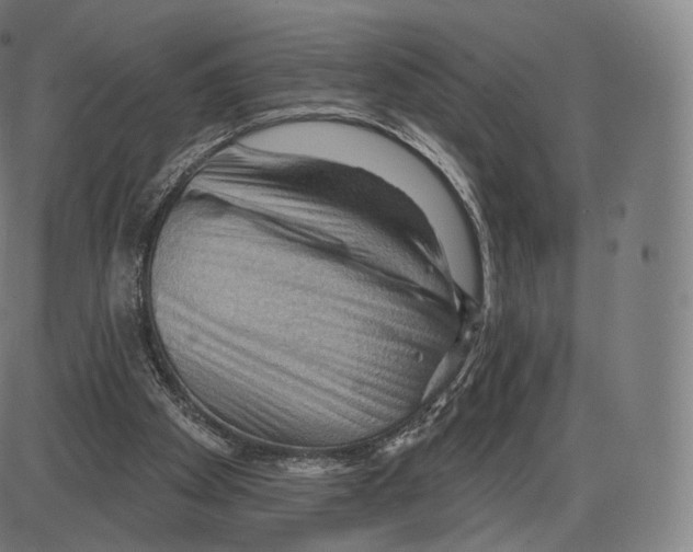 X0000083970105200703161541