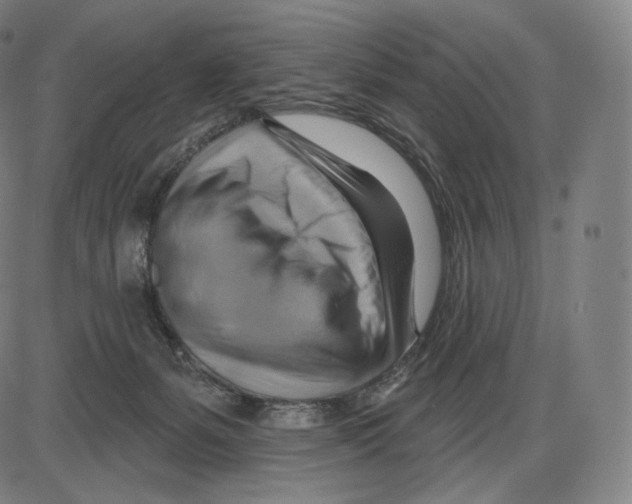 X0000083970127200703161541
