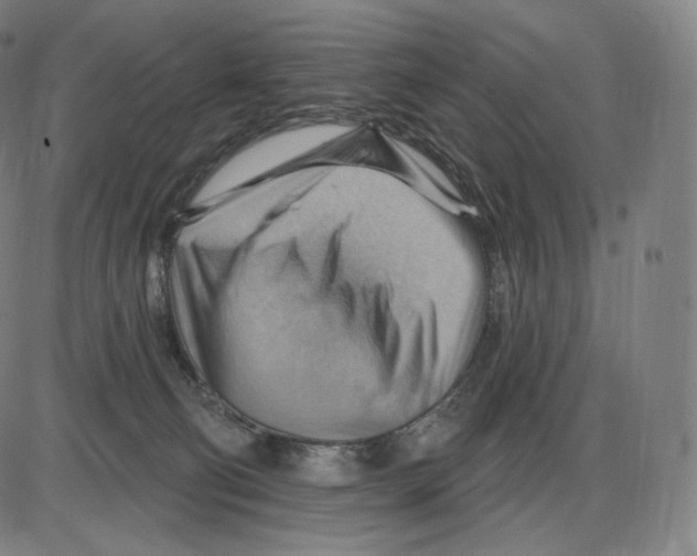 X0000083970130200703161541