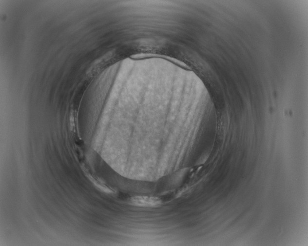 X0000083970137200703161541