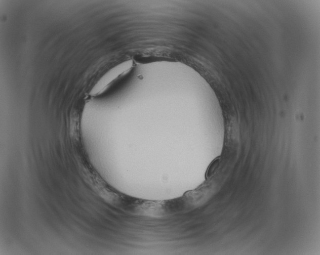 X0000083970138200703161541