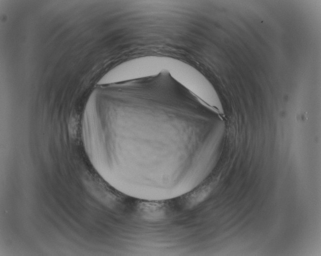 X0000083970139200703161541