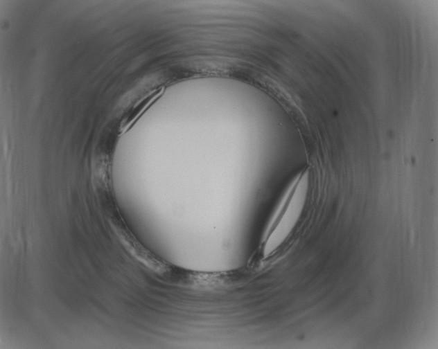 X0000083970141200703161541